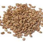 el-primer-trigo-salvaje-cultivado-por-el-hombre-se-conoce-como-farro-1920.jpg
